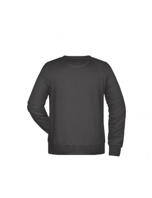 Classic sweatshirt with raglan sleeves