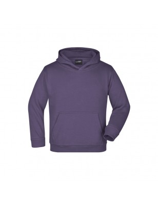 Classic hooded sweat in a lot of colours