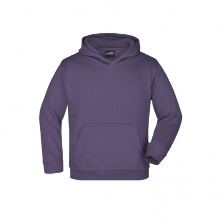 Classic hooded sweat in a lot of colours