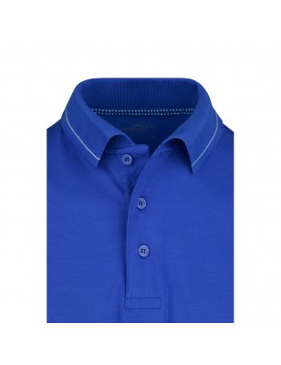 High-quality polo shirt with contrasting stripes